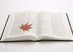 阿什顿维拉全面崩溃，惨败遭遇连败