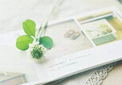 桑普多利亚惨遭淘汰，欧冠征程提前结束：一场足球梦的碎片