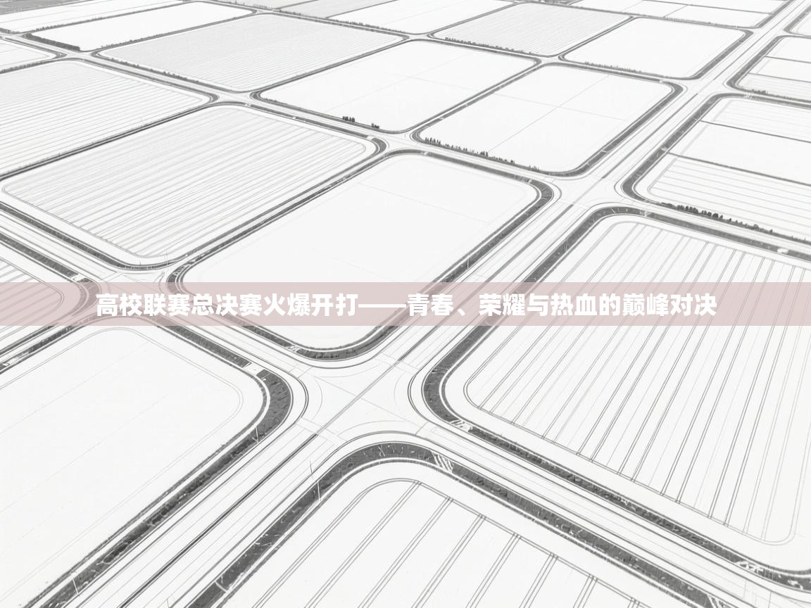 高校联赛总决赛火爆开打——青春、荣耀与热血的巅峰对决 第2张